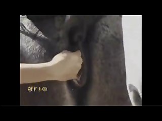 Top Pornography