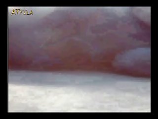 24837 Webcam Dog Licking Pussy Slut Teen Girl Films Dog Licking Her Pussy Part 1