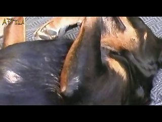 Web Series Hindi scandal