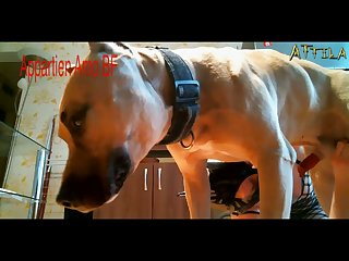 Videos Of Free