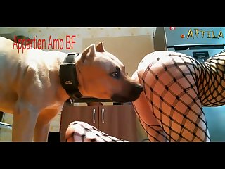 Videos Of Free