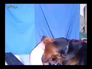 Videos Amateur Porn