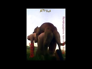 Videos Amateur