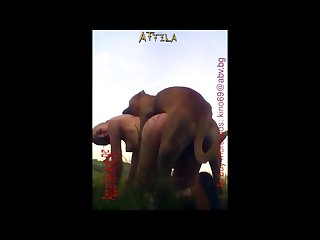 Videos Amateur