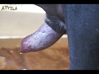 New Hindi Web Series Mom