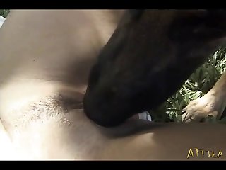 Free Videos Free