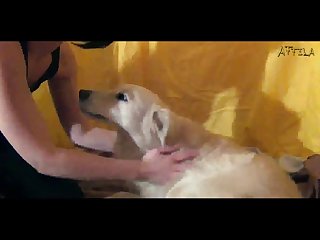 Lovemaking Videos