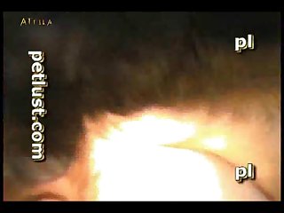 Indian Mms Videos