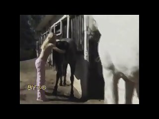 Reddit Videos