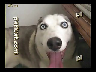 Video Por