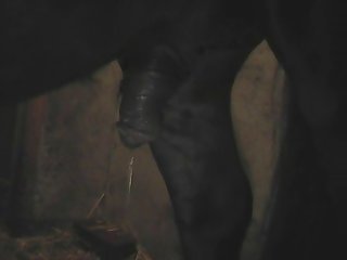 Ponymating