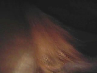 Ponymating